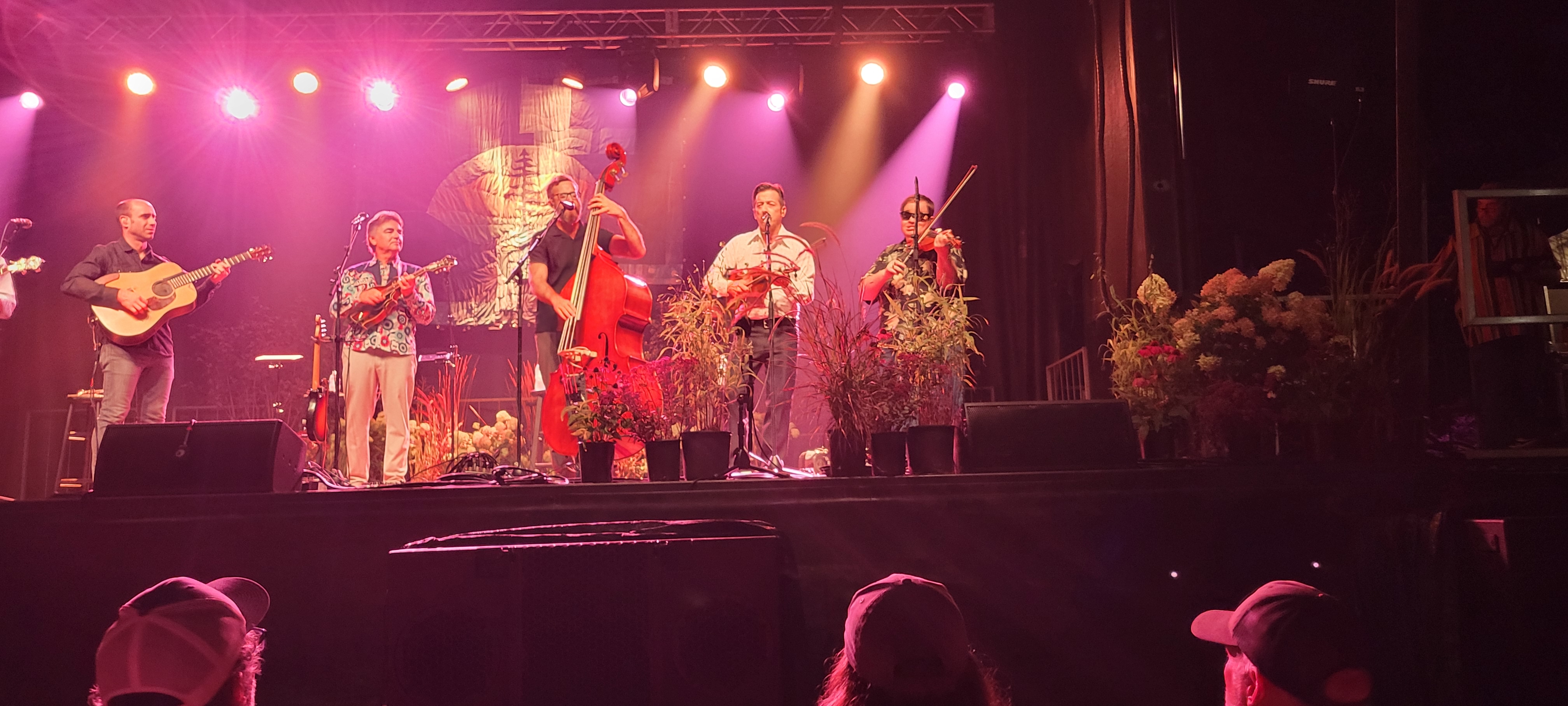 TravelinMcCourys2024-08-16GreenMountainBluegrassAndRootsFestivalManchesterVT (2).jpg